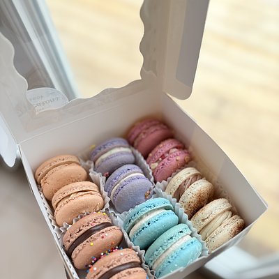 One Dozen Macarons