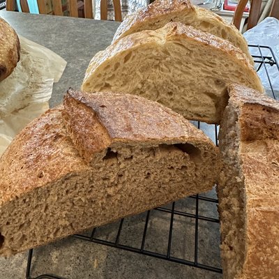 Wholewheat Unifine Flour Sourdough