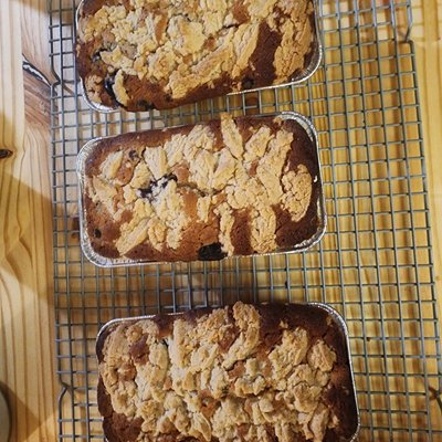 Blueberry Lemon Sourdough Quick Bread