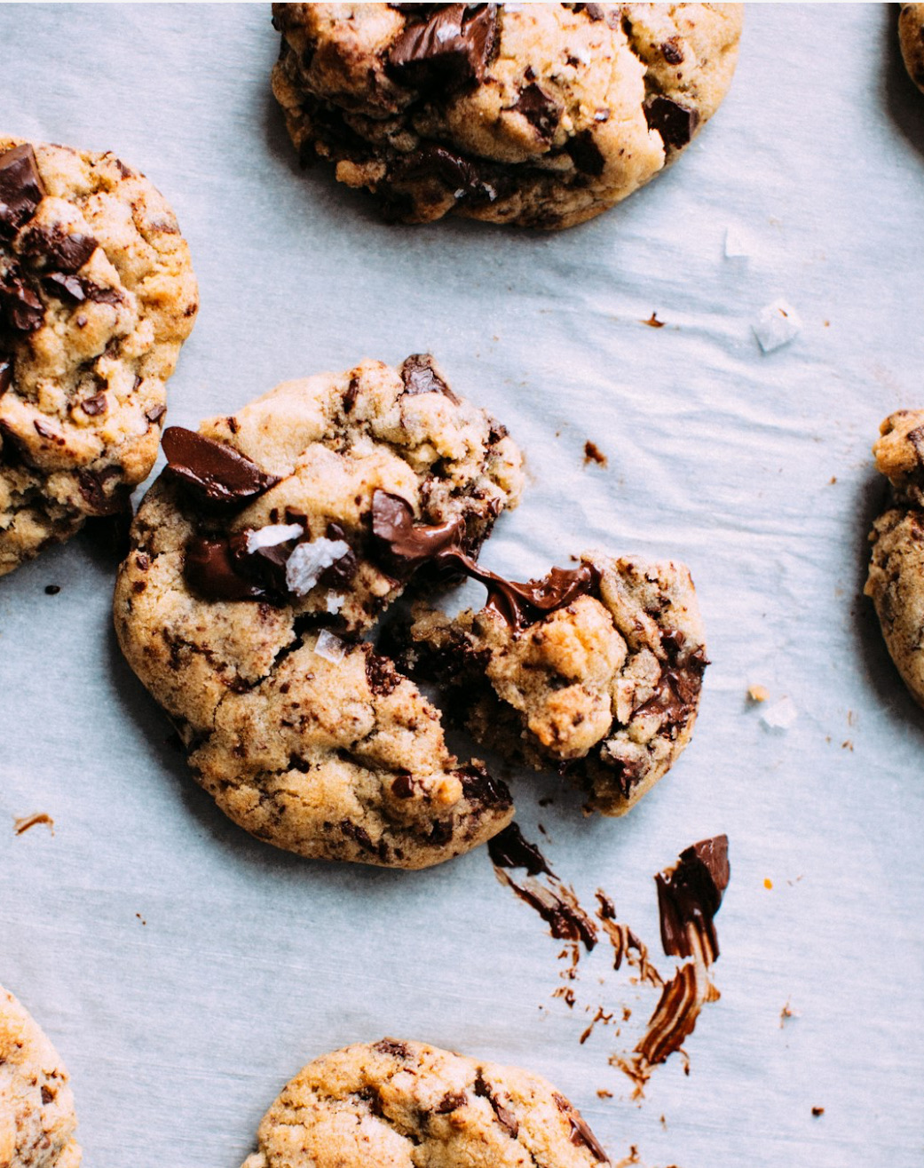 X-Large Chocolate Chip 