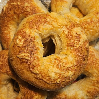 Asiago Bagels- 1 Dozen