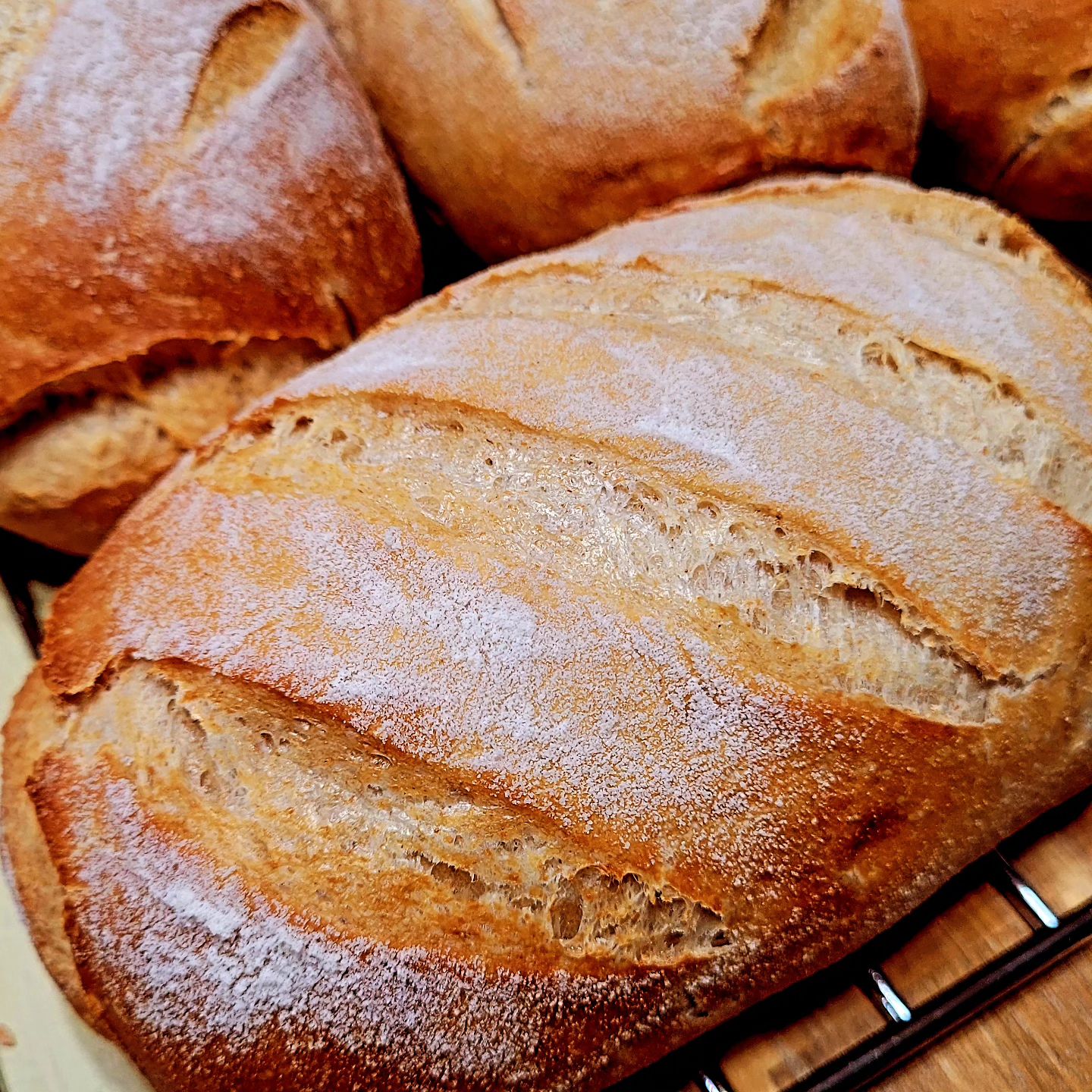 Rustic Artisan Bread 