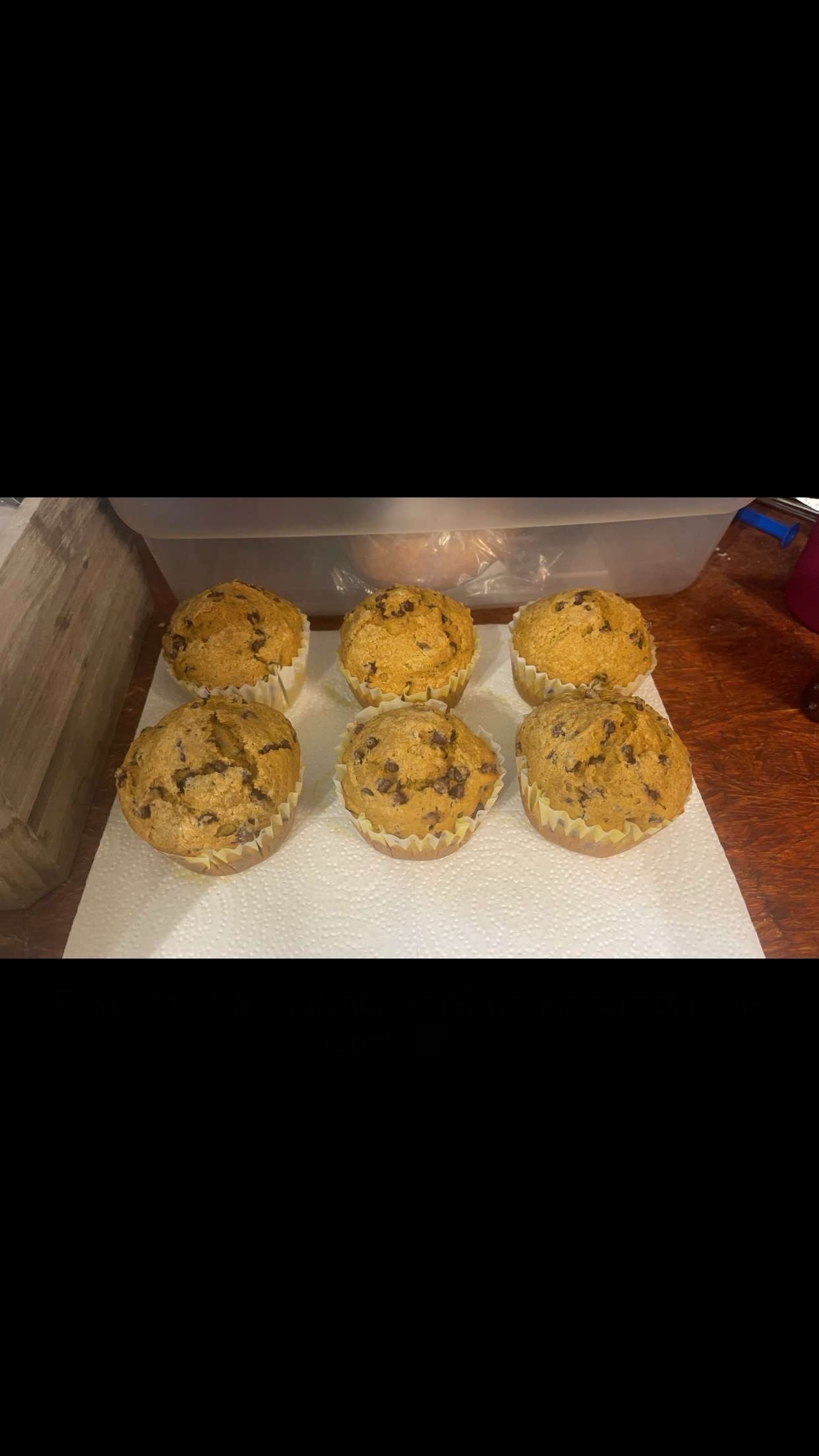 Pumpkin Muffins