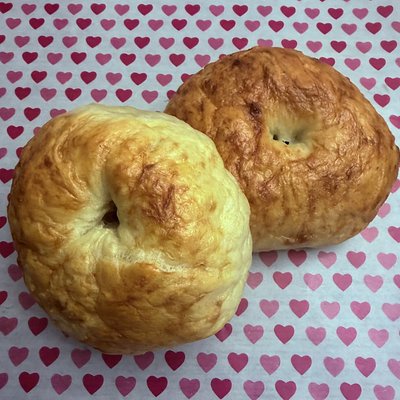 High Protein Sourdough Bagel- Plain 🥯 