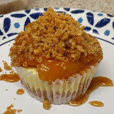 Cheesecake Cupcakes (12)