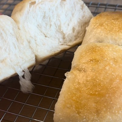 SD Honey White Dinner Rolls 12ct