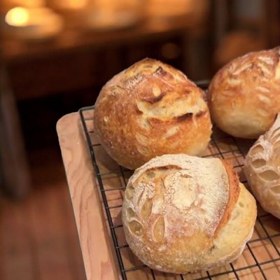 MINI SOURDOUGH LOAVES 