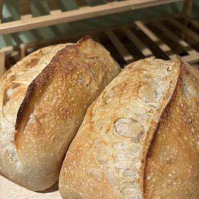 Original Sourdough