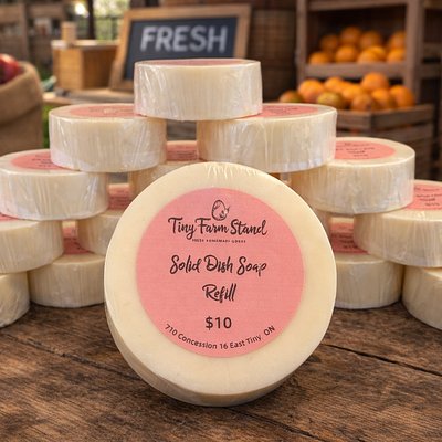 Solid Dish Soap Refill 