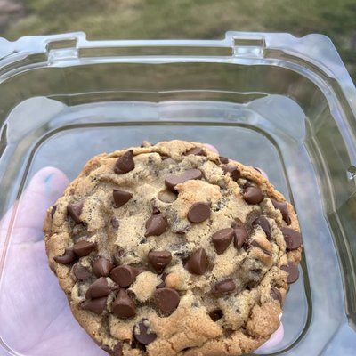 Double Chocolate Chip Cookies