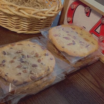 Jumbo Turtle Cookie