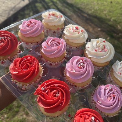 Full Dozen Cupcakes (12)