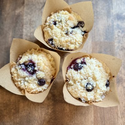 Sourdough Blueberry Muffins 