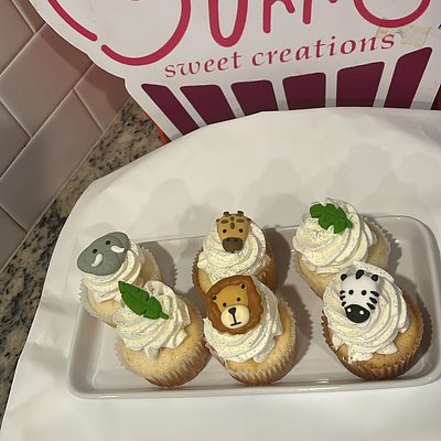 Half Dozen Of Cupcakes 