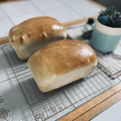Sandwich Bread (1 Loaf)