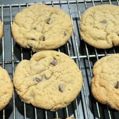 Sourdough Chocolate Chip Cookies 