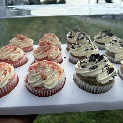 Dozen Cupcakes 
