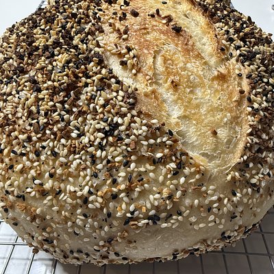 EVERYTHING  Sourdough Jr. 