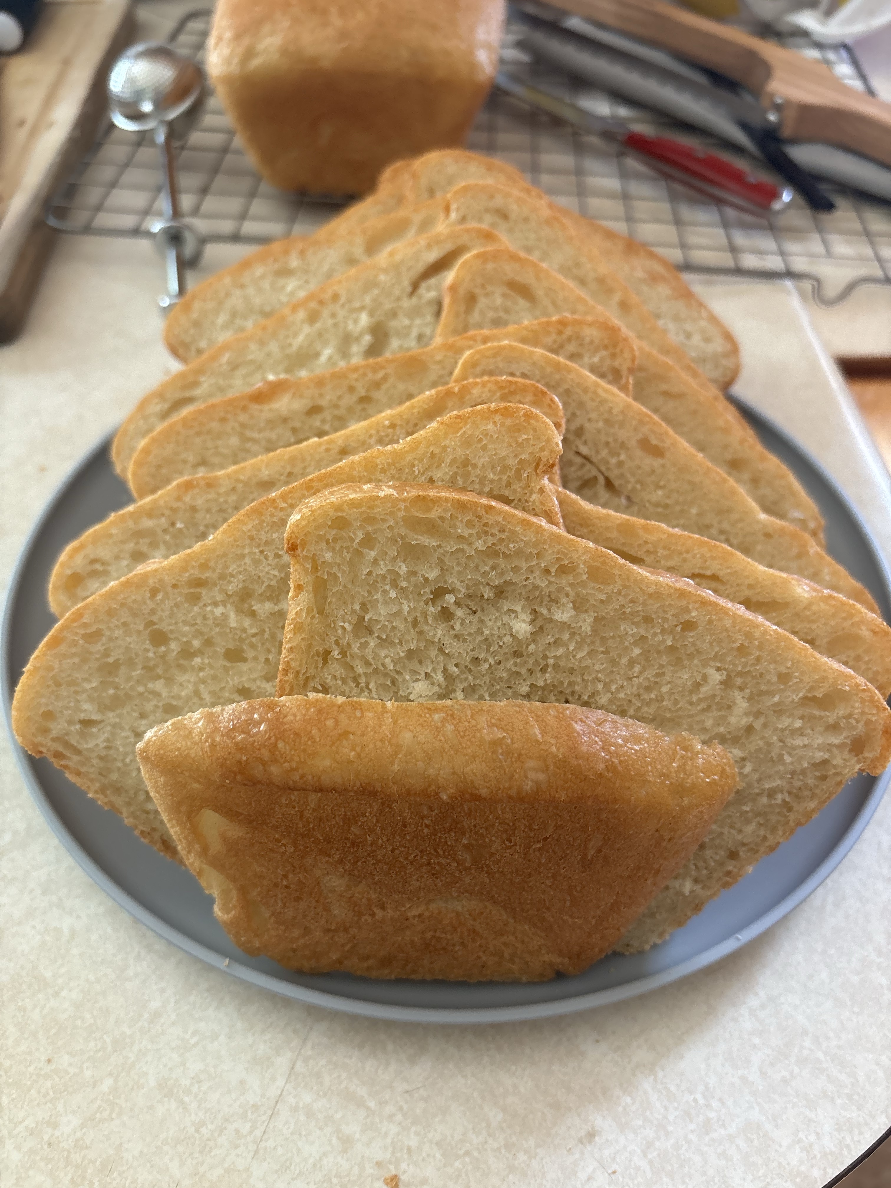 Regular Sandwich Bread