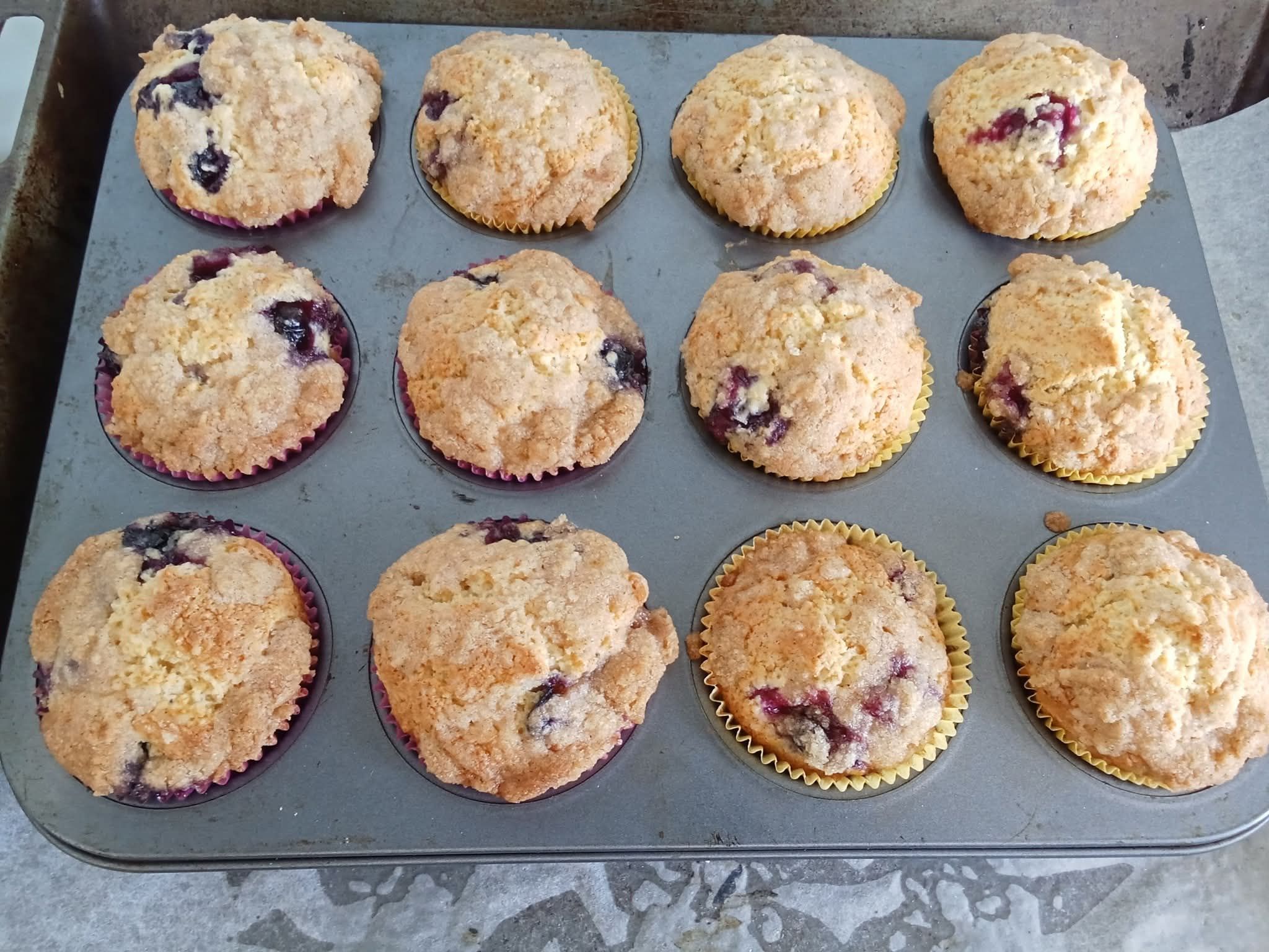 Blue Berry Muffins 6 Pack
