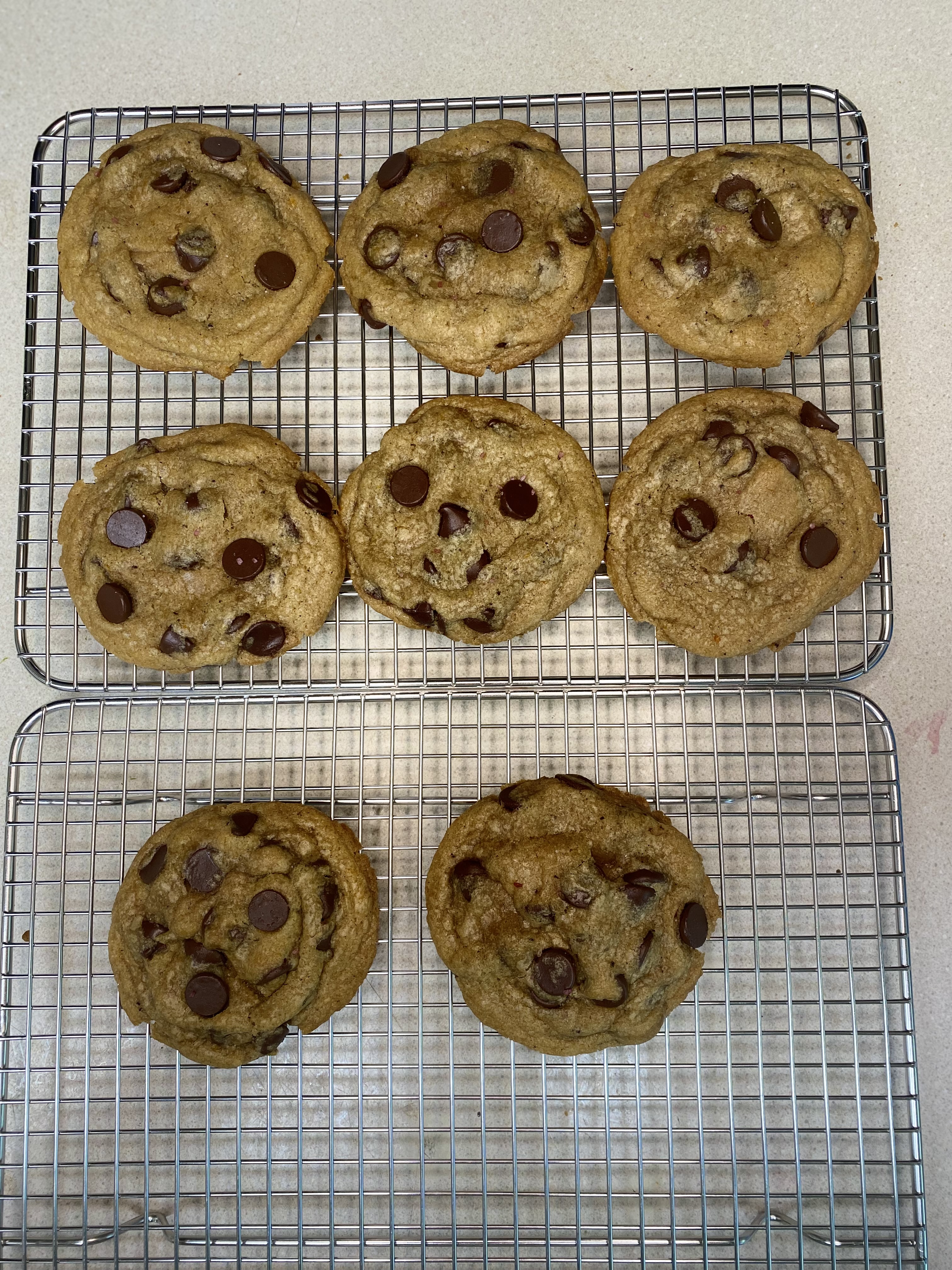 Classic Chocolate Chip