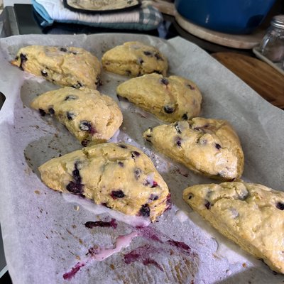 Specialty Scones- 4 Count
