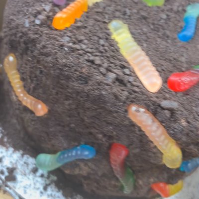 Oreo Dirt Cake And Gummy Worms 8” 