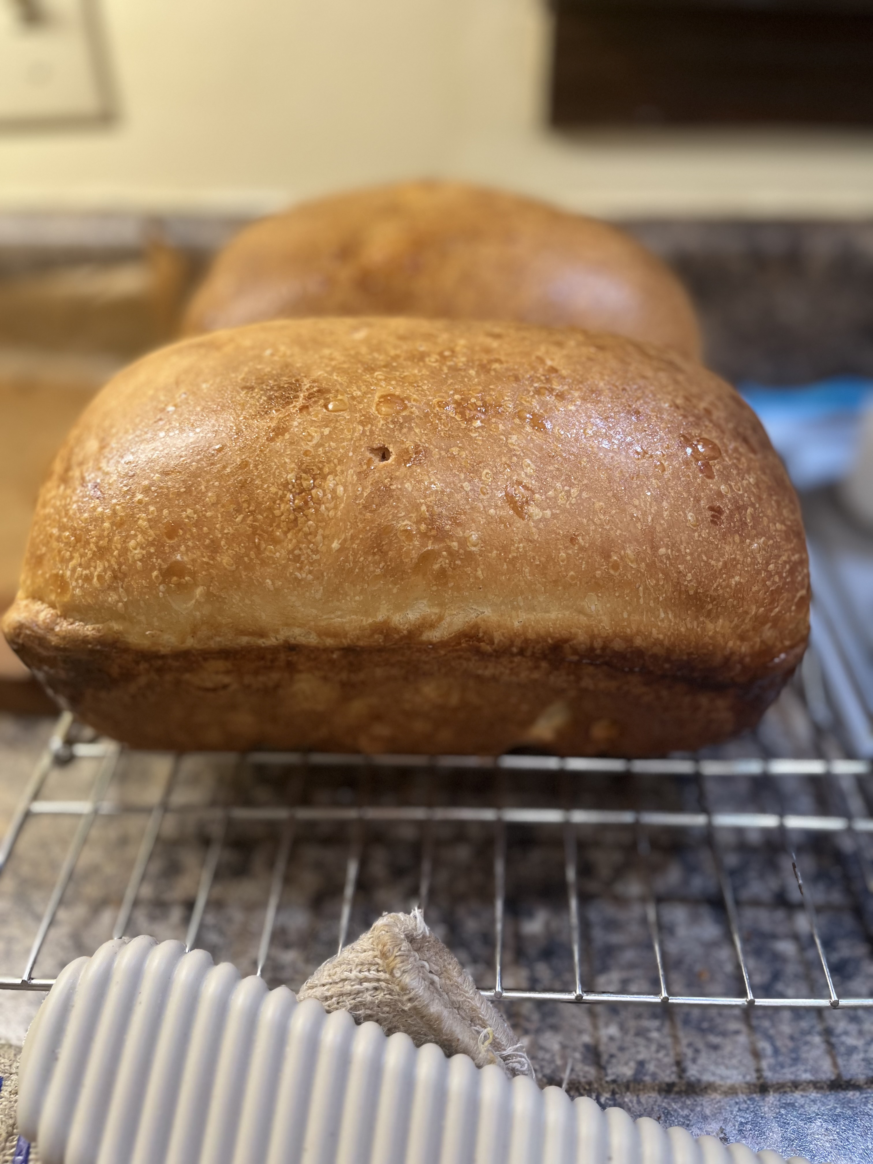 Sandwich Sourdough
