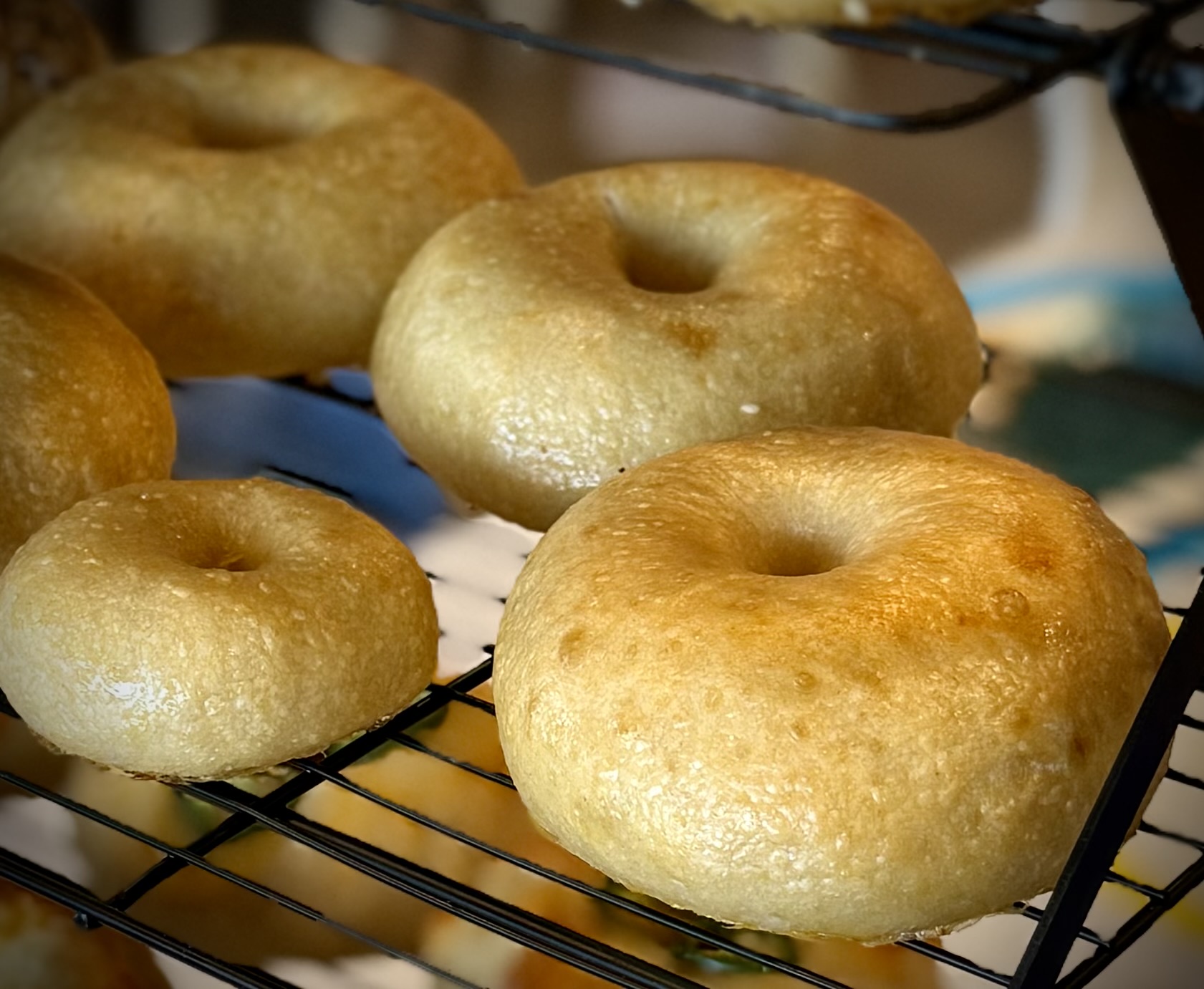 Plain Bagel