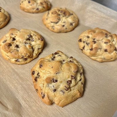 Chocolate Chip Cookie 