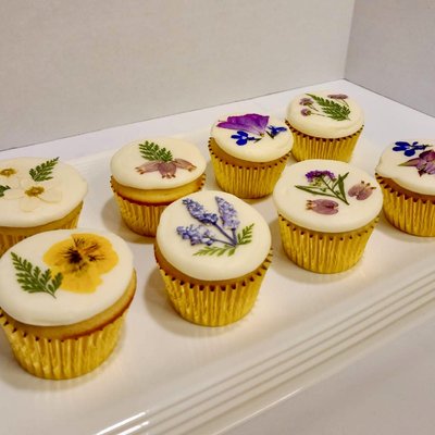 Specialty Cupcakes 