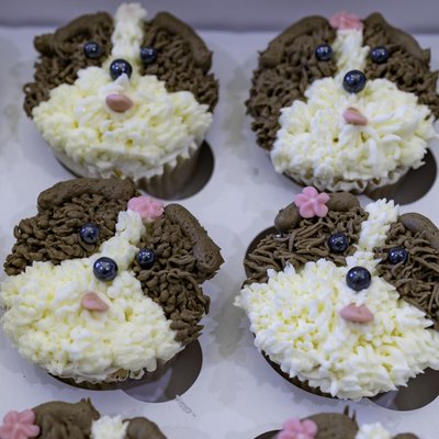 Animal Themed 