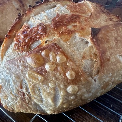 Toasted Onion  Sourdough