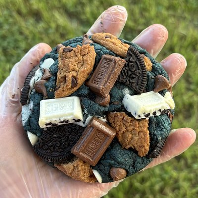 Stuffed Cookie Monster