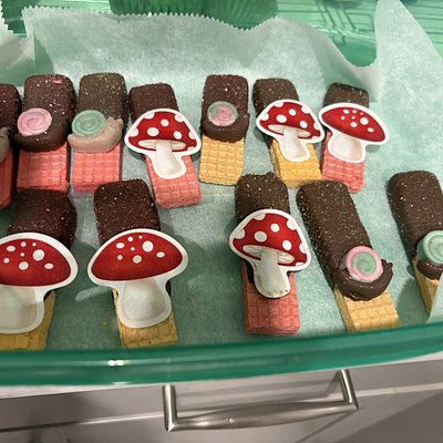 Chocolate Covered Wafers