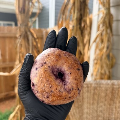 Blueberry Bagels- 6 Mini Bagels Or 4 Large 