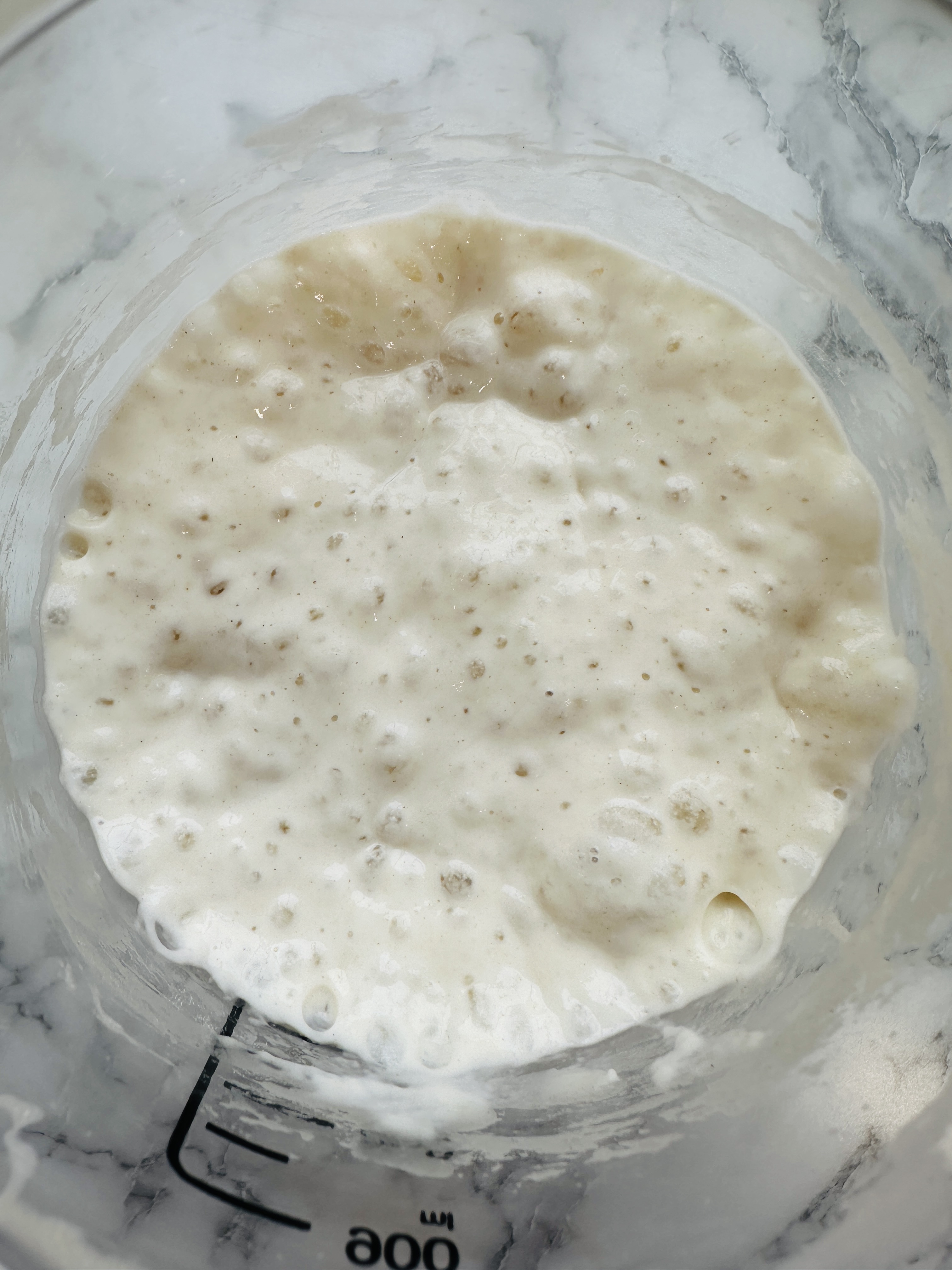 Sourdough Starter