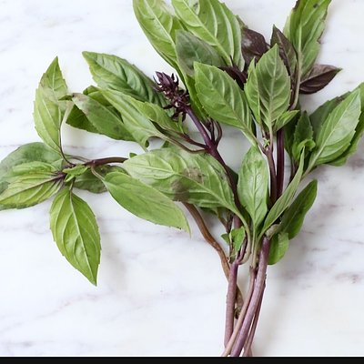 Organic Basil Bag