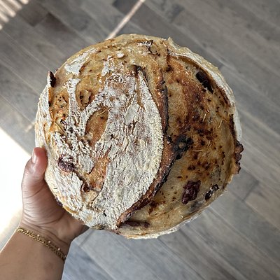 Kalamata Olive, Rosemary & Garlic