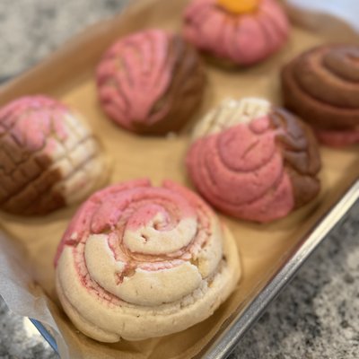Conchas (Regular)