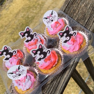 Birthday Cupcakes For CATS