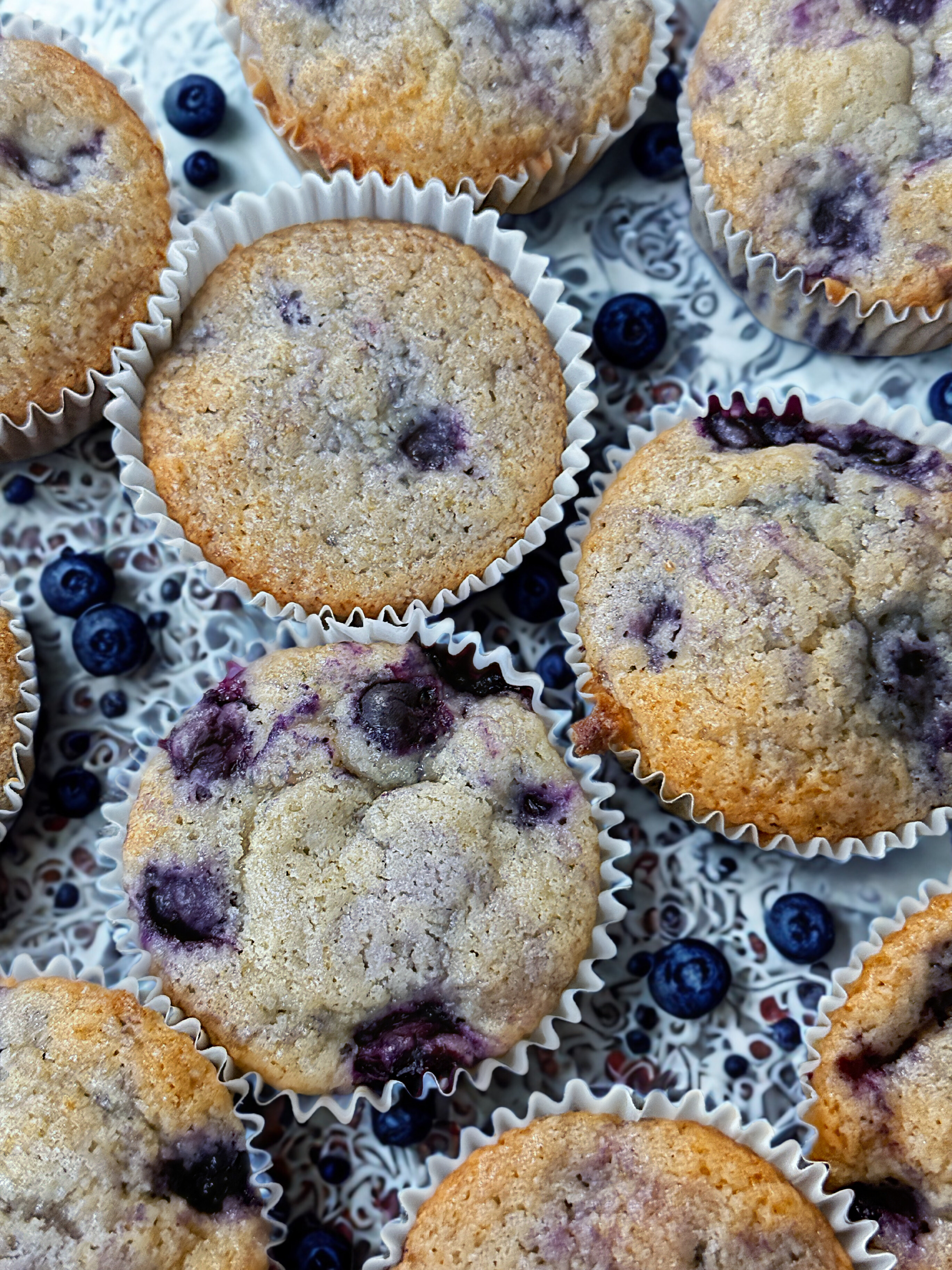 Sourdough blueberry muffins