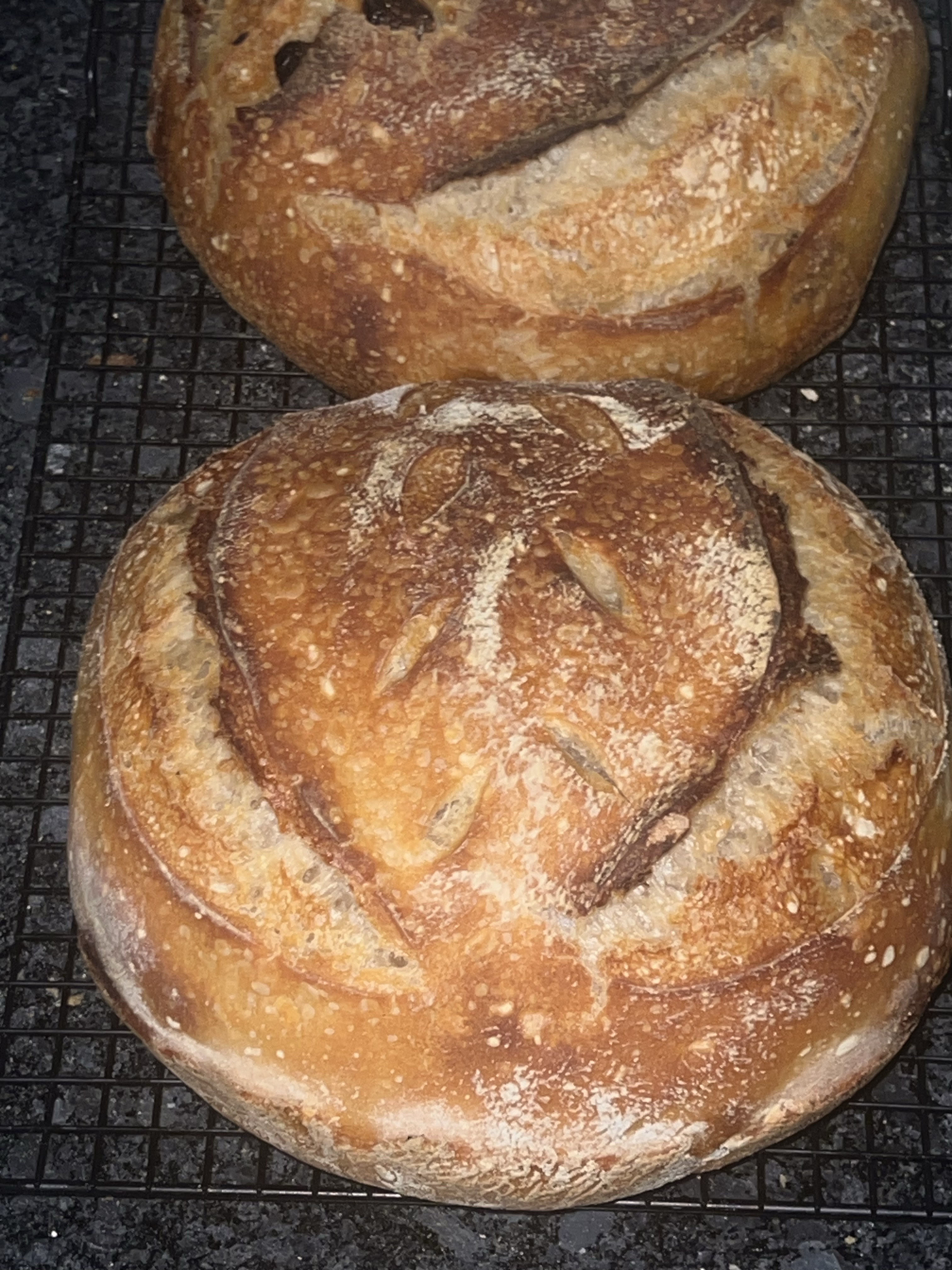 Plain Sourdough
