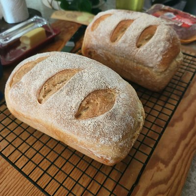 Sourdough Loaves Sm