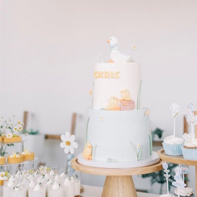 Two Tiers Custom Cake
