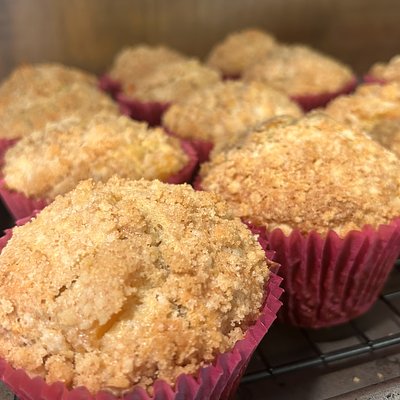 Jumbo Sourdough Muffins 