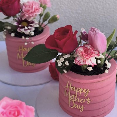 Mother’s Day “Potted Cake”  4 Inch 