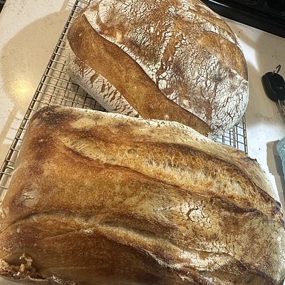 Organic Sourdough Loaf 