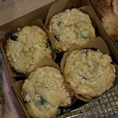 Blueberry Muffins