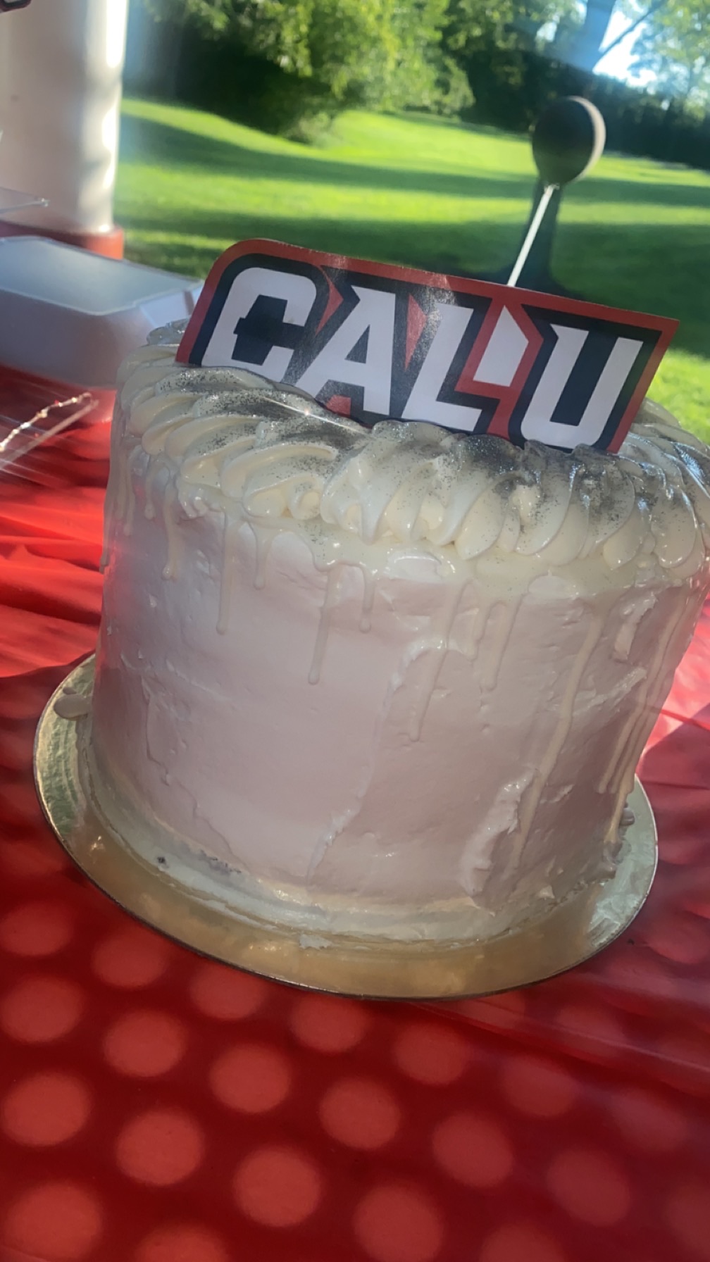 3 Layer Kake